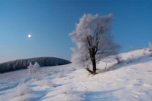 ai generado blanco Navidad paisaje. Nevado árbol en un colina con Luna en el azul cielo, neural red generado imagen foto