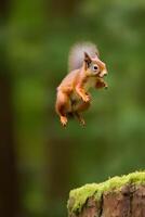 ai generado eurasiático rojo ardilla sciurus vulgaris saltando en el bosque a verano día, neural red generado fotorrealista imagen foto