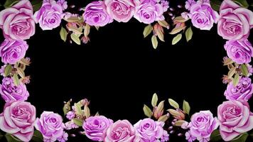 Rose flower Horizontal seamless repeat border with alpha channel transparent background video