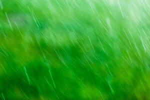 blurry falling raindrops on green background with selective focus photo