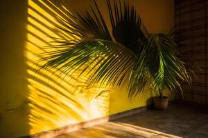 AI generated shadow of a palm leaves on a yellow wall, neural network generated image photo