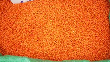 Top view of bright red lentils video