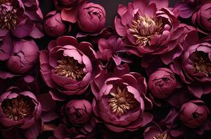 AI generated close up of peonies in dark photo