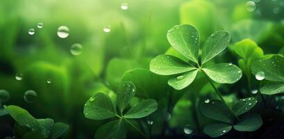 AI generated clover leaves and grasses near green background with water droplets photo