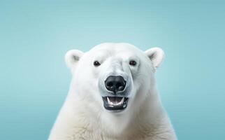 AI generated happy white polar bear portrait facing a blue shade photo