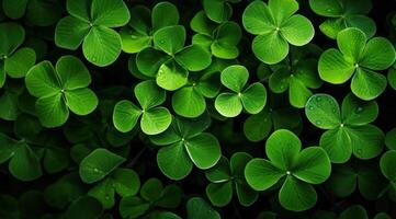 AI generated green shamrock leaves shamrocks background photo