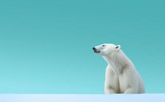 AI generated polar bear near a blue wall photo