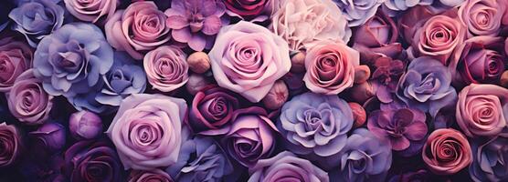 AI generated purple and pink roses and flowers flower background photo