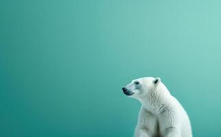 AI generated polar bear near a blue wall photo