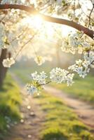 ai generado Mañana antecedentes con flores, suave luz de sol foto