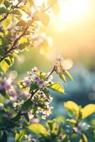ai generado Mañana antecedentes con flores, suave luz de sol foto