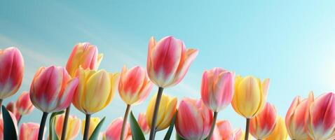 AI generated pink and yellow tulips are seen on a light background photo