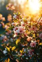 ai generado Mañana antecedentes con floreciente flores, suave luz de sol foto