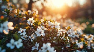 ai generado Mañana antecedentes con floreciente flores, suave luz de sol foto