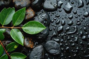 AI generated pebbles and spa leaves on black background of light rain photo