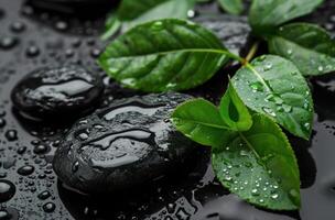 AI generated pebbles and spa leaves on black background of light rain photo