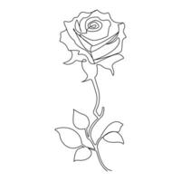 Continuous One line rose flower drawn outline vector art illustration and valentine's day line art design