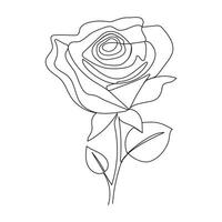 Continuous One line rose flower drawn outline vector art illustration and valentine's day line art design