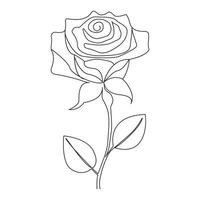 Continuous One line rose flower drawn outline vector art illustration and valentine's day line art design