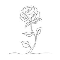Continuous One line rose flower drawn outline vector art illustration and valentine's day line art design