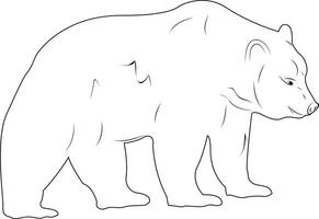 Bear on a white background. Design of greeting cards, posters, patches, prints on clothes, emblems. Natural open spaces. Ecology. Natural open spaces. vector