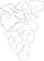 Grape silhouette. Grape bunch and leaves. Natural product. Healthy eating and diet. Design of greeting cards, posters, patches, prints on clothes, emblems. Sweet grapes. vector