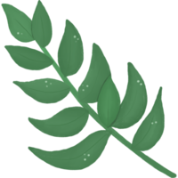 illustration of leaf. cartoon watercolor style. isolated on transparent background png