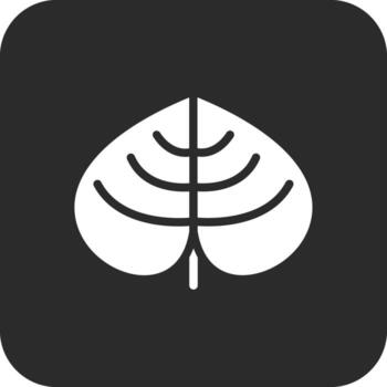 Leaf Vector Icon