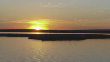 A flock of birds on the background of colorful sky. Sunset on the river. Island of gulls. Birds fly at sunset, aerial photo