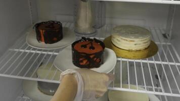 Woman puts sweet cake in the refrigerator. Cake in the fridge photo