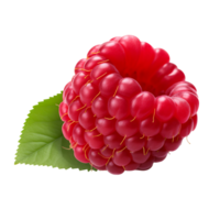 AI generated Raspberry fruit icon isolated transparent background png