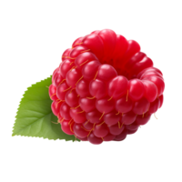 ai generiert Himbeere Obst Symbol isoliert transparent Hintergrund png