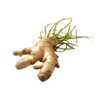 AI generated Ginger root vegetable icon isolated transparent background png