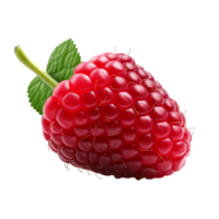 AI generated Raspberry fruit icon isolated transparent background png