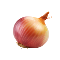 AI generated Onion vegetable icon isolated transparent background png