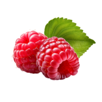 ai généré framboise fruit icône isolé transparent Contexte png