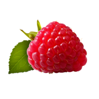 ai généré framboise fruit icône isolé transparent Contexte png