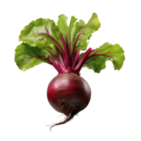 ai generado raíz de remolacha vegetal icono aislado transparente antecedentes png