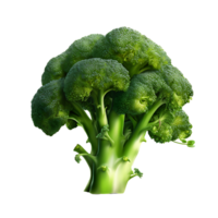 AI generated Broccoli vegetable icon isolated transparent background png