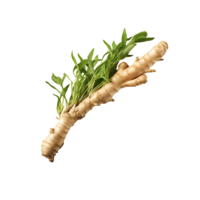 AI generated Ginger root vegetable icon isolated transparent background png