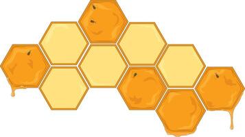 Hexagonal honeycomb shape pattern vector illustration