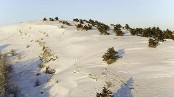 Winter Landscape with Stone Rock Covered with Snow. Shot. Top view of the snow-covered hill in the forest photo