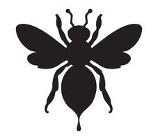 Africanized honey bee vector illustration on white background.