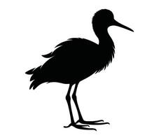 African jacana silhouette icon. Vector image.