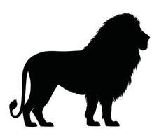 Vector, isolated silhouette of african lion. vector