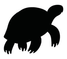 African helmeted yurtle vector. African helmeted turtle vector icon in flat style.