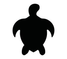 African Helmeted Turtle. Vector image. White background.