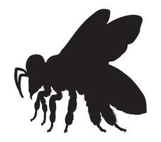 Black and White Africanized Honey Bee Silhouette. Vector Illustration.