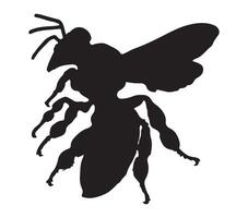 Africanized Honey Bee. Vector image. White background.