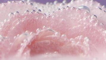 Close-up of delicate rose petals with bubbles. Stock footage. Pink rose petals under water with bubbles. Lots of bubbles on rose in water photo